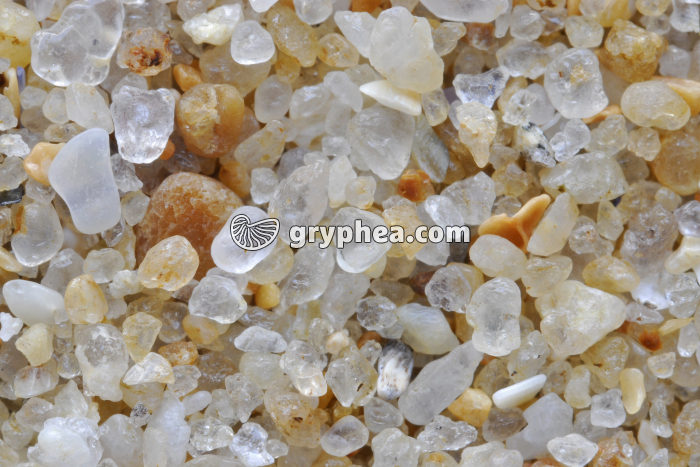 Sable quartzeux - Plage de Pornichet (Loire Atlantique) x3 - gryphea.com